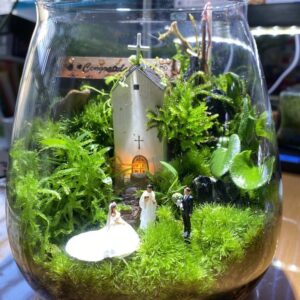 Birthday / Anniversary